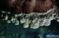广西武宣县的“云朵石”奇观：大自然的杰作即将申遗